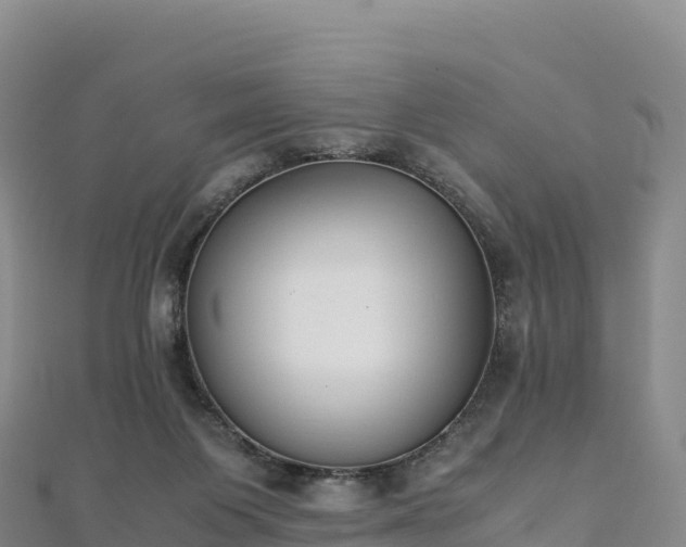 X0000110730119200906191534