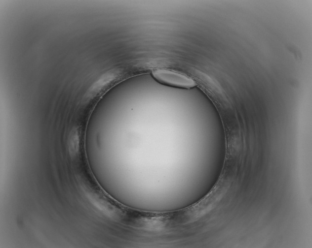 X0000110730120200906191534