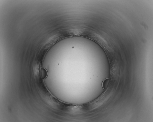 X0000110730122200906191534