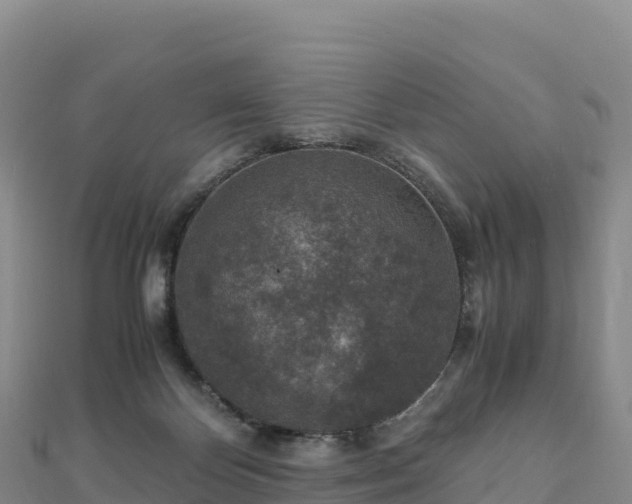 X0000110730124200906191534