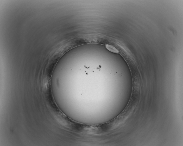 X0000110730125200906191534