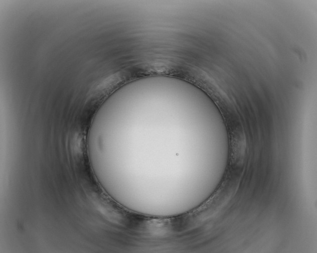 X0000110730126200906191534