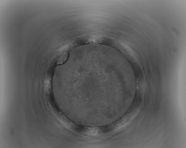 X0000110730127200906191534