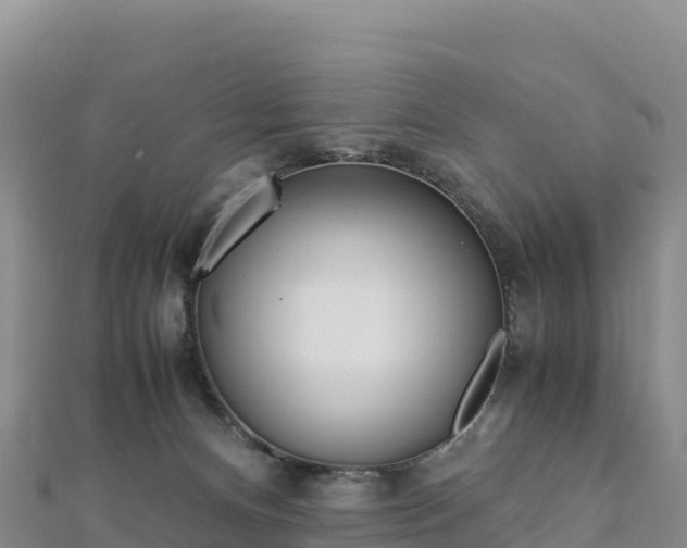 X0000110730128200906191534