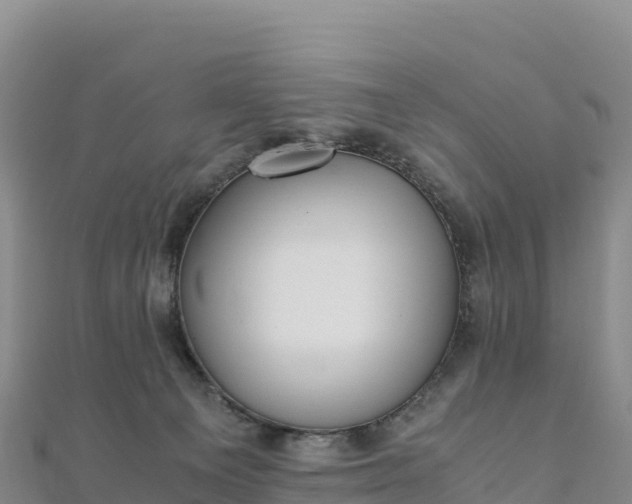 X0000110730129200906191534