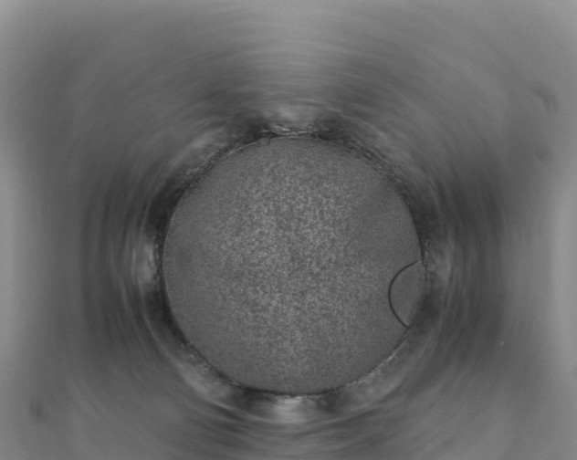 X0000110730130200906191534