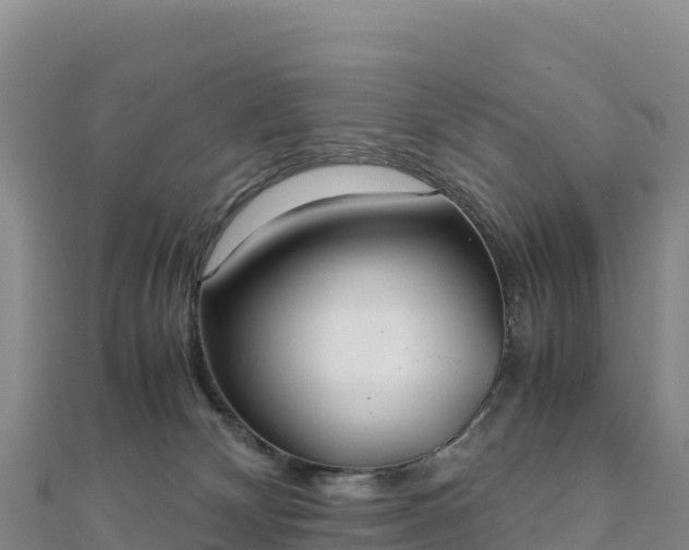 X0000110730132200906191534