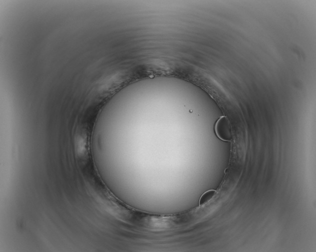 X0000110730134200906191534