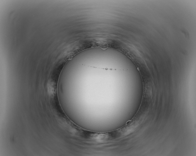 X0000110730135200906191534