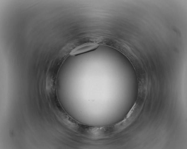 X0000110730136200906191534