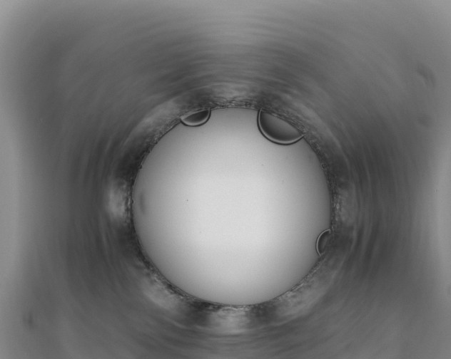 X0000110730138200906191534