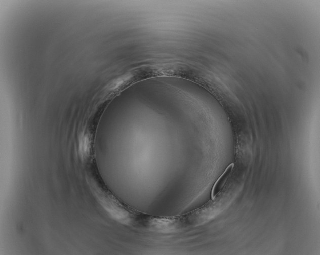 X0000110730139200906191534