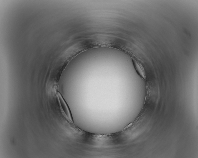 X0000110730141200906191533