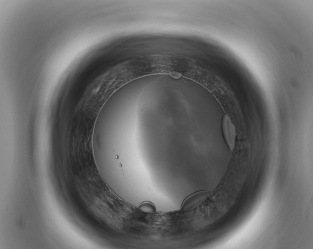 X0000110730143200906191533