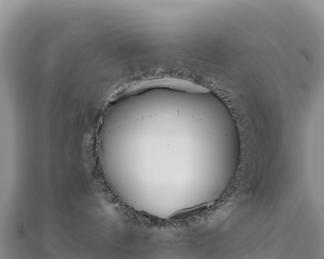 X0000110730144200906191533