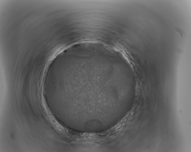 X0000110730145200906191533