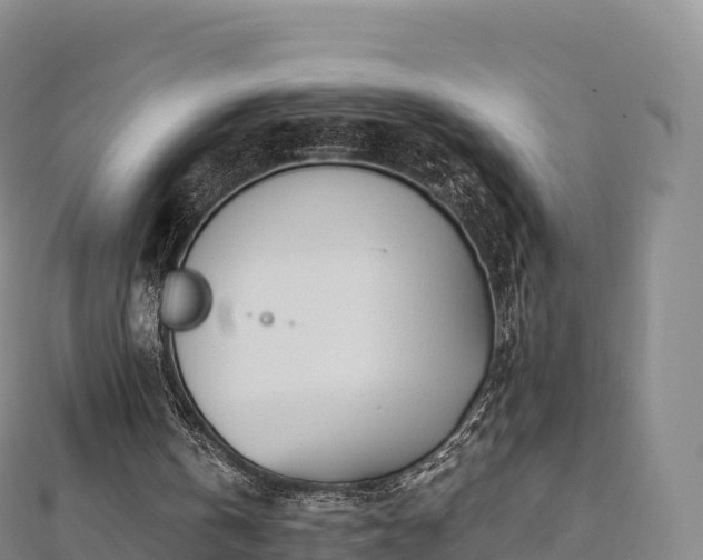 X0000110730146200906191533