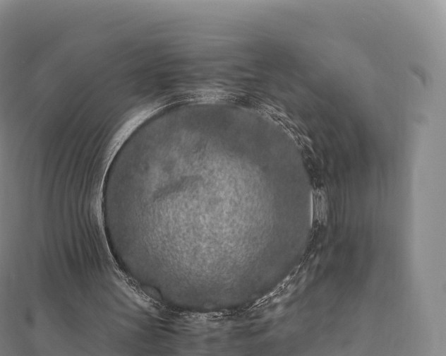 X0000110730147200906191533