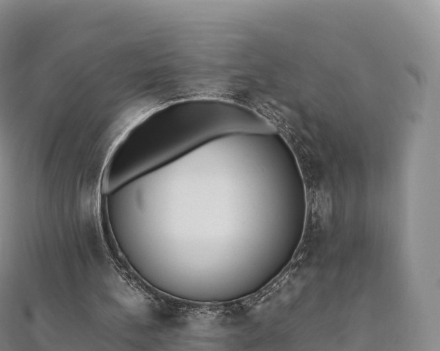 X0000110730148200906191533