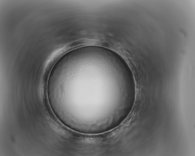 X0000110730149200906191533