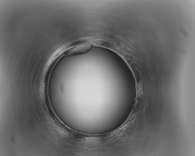 X0000110730150200906191533