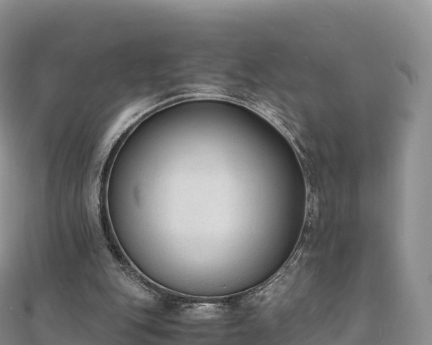 X0000110730151200906191533