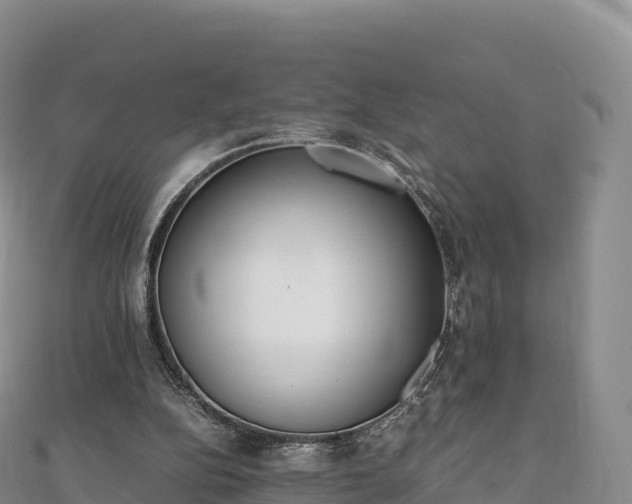 X0000110730152200906191533