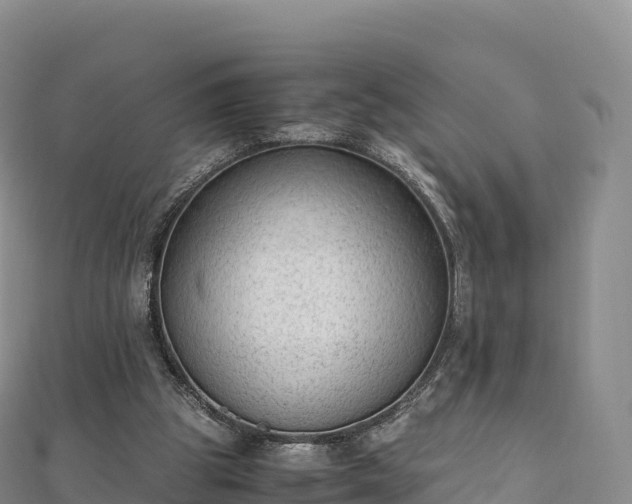 X0000110730153200906191533