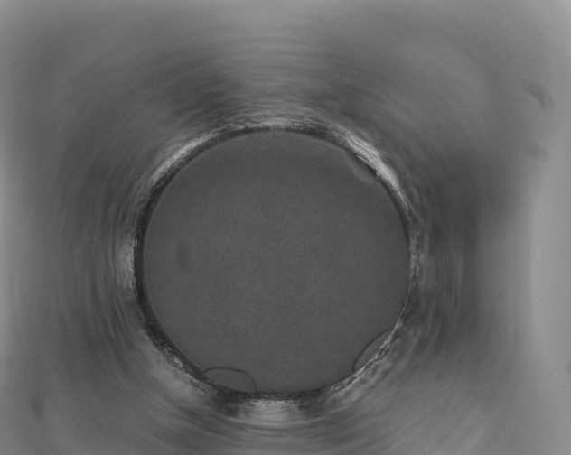 X0000110730154200906191533