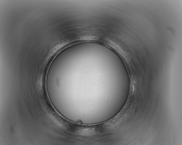 X0000110730155200906191533