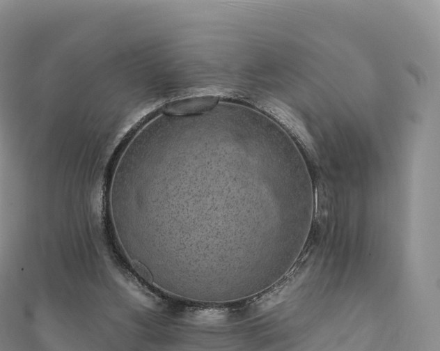 X0000110730156200906191533