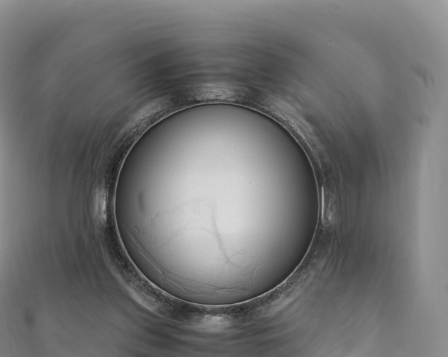 X0000110730157200906191533