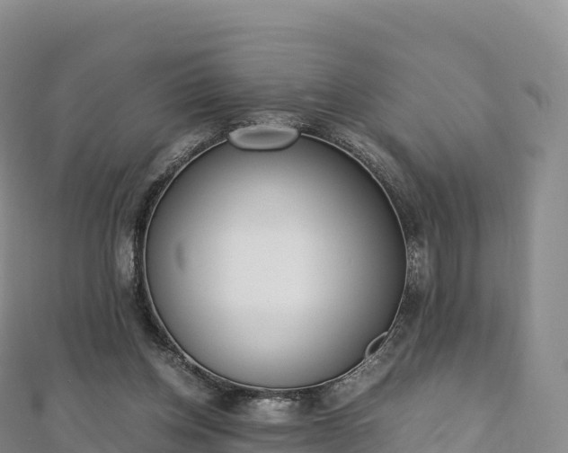 X0000110730158200906191533