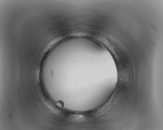 X0000110730159200906191533