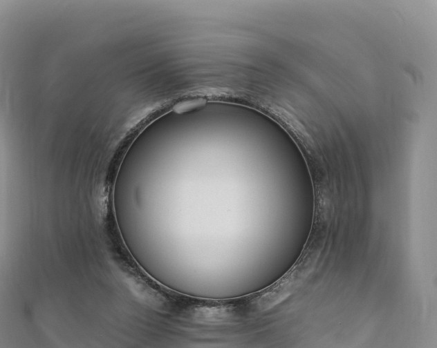 X0000110730160200906191533