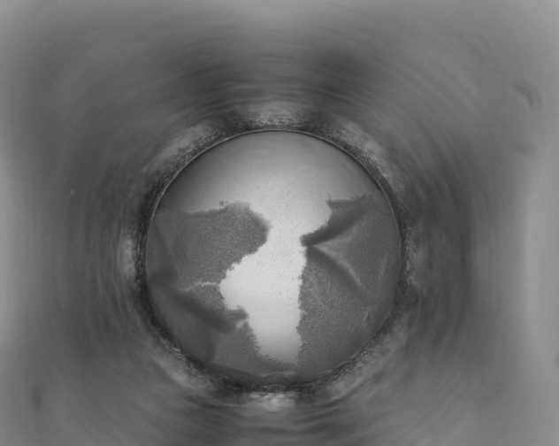 X0000110730161200906191533