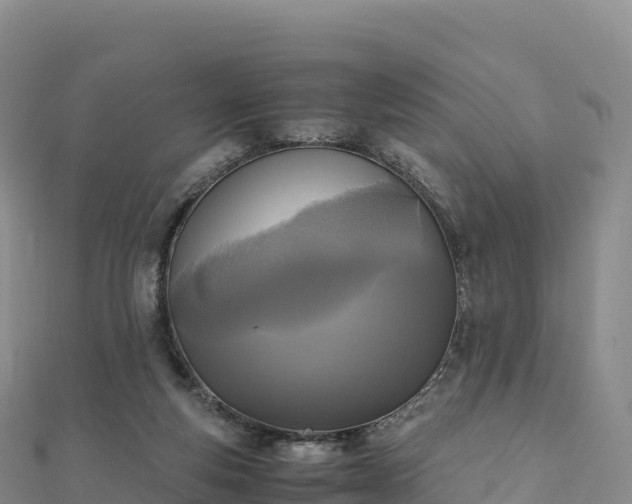 X0000110730163200906191533