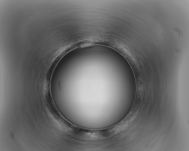 X0000110730164200906191533