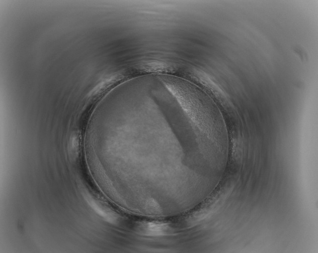 X0000110730165200906191533