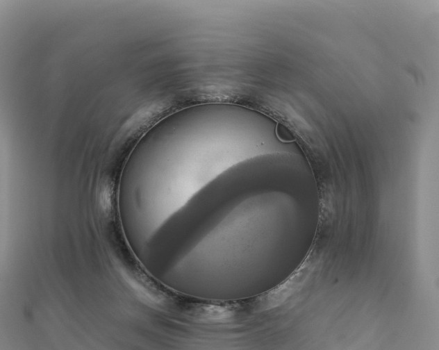 X0000110730166200906191533