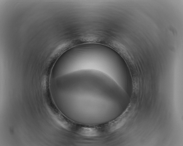 X0000110730167200906191533