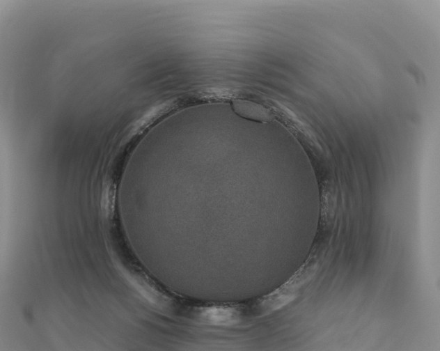 X0000110730168200906191533