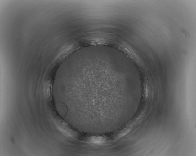 X0000110730169200906191533