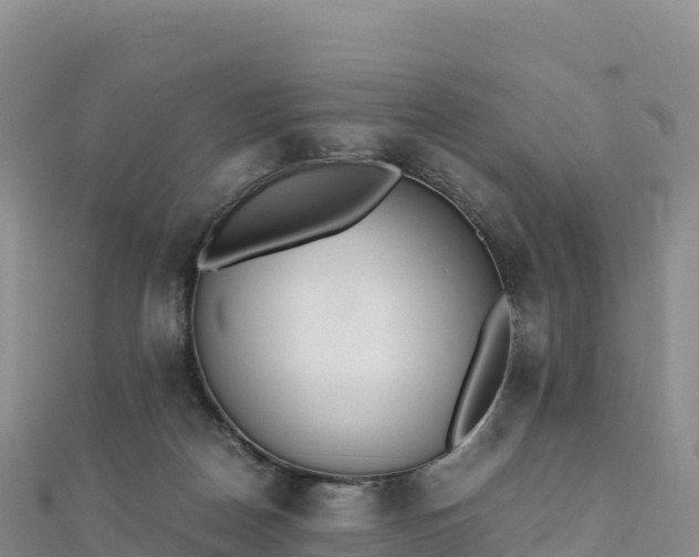 X0000110730170200906191533