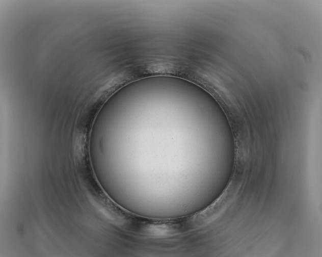 X0000110730171200906191533