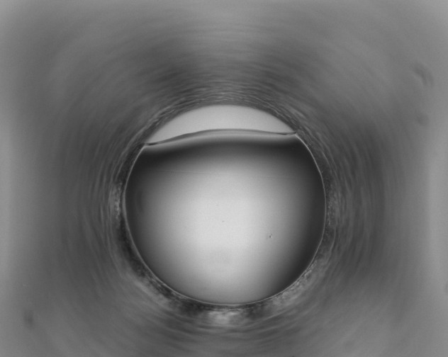 X0000110730172200906191533