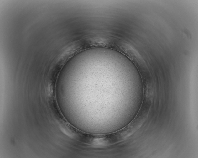 X0000110730173200906191533