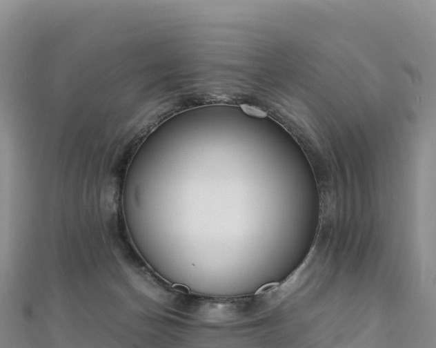 X0000110730174200906191533