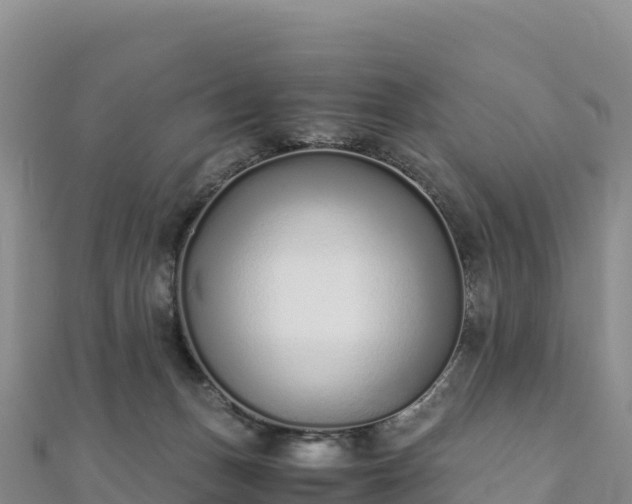 X0000110730175200906191533