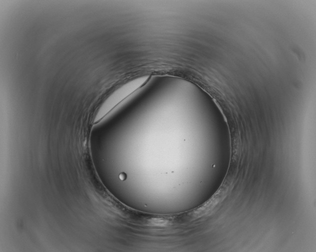 X0000110730176200906191533